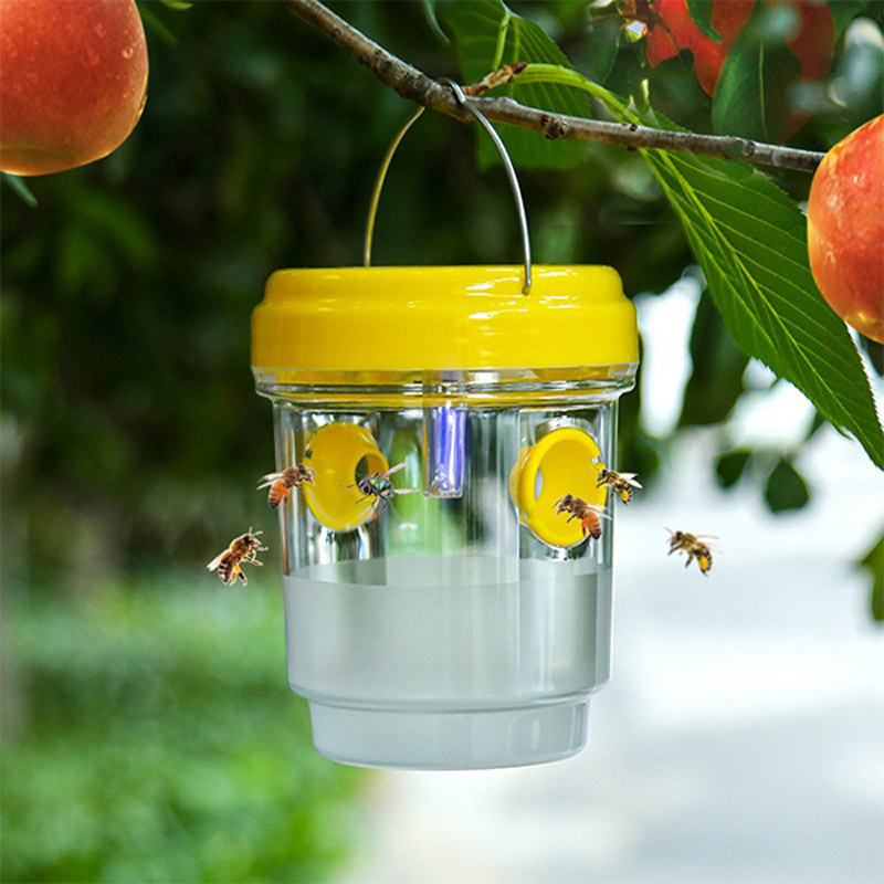 Outdoor Lighting Gazebo - Pièges à mouches à fruits solaires
