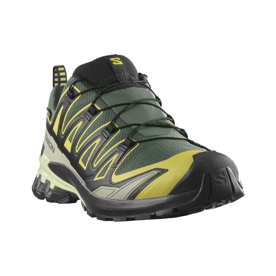 Salomon XA Pro 3D V9 GTX : Cha - Salomon Shoes Xa Pro 3D avis et prix