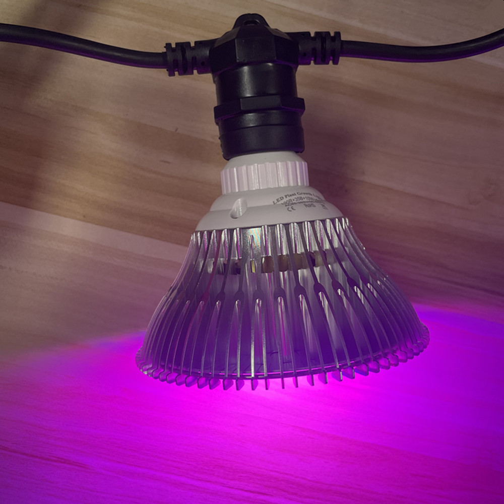 Guirlande lumineuse LED de 10M - Outdoor Lighting Gazebo avis et prix