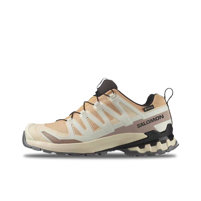 Salomon XA Pro 3D V9 GTX : Une - Salomon Shoes Xa Pro 3D avis et prix