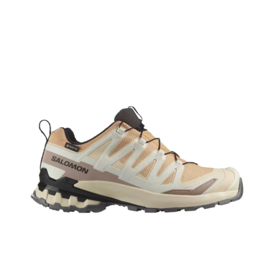 Salomon XA Pro 3D V9 GTX : Une - Salomon Shoes Xa Pro 3D avis et prix