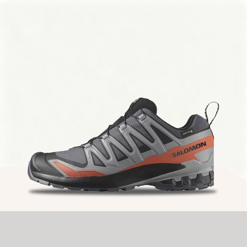 Salomon XA Pro 3D V9 GTX : Cha - Salomon Shoes Xa Pro 3D avis et prix