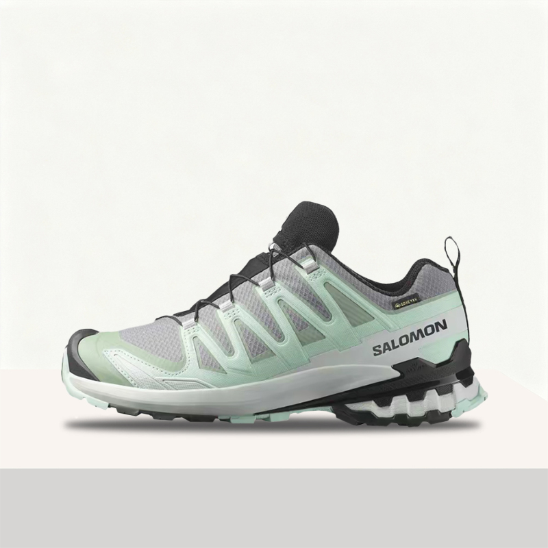 Salomon XA Pro 3D V9 GTX : Cha - Salomon Shoes Xa Pro 3D avis et prix